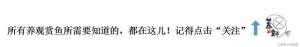 日本孔雀鱼养殖场(日本蓝孔雀鱼，名字简短但来头不简单，市面上还买不到)