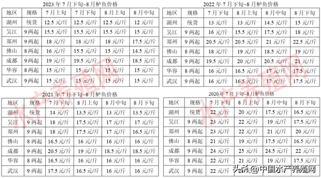 诡异！8月就跌价，大网红鲈鱼会崩盘吗？流通商：接下来还要跌！