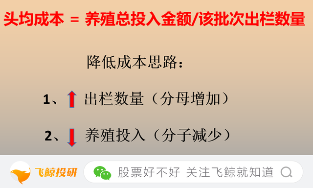 成本揭秘，牧原养一头猪成本是多少？能赚多少钱？