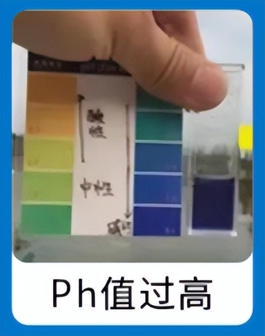 掌握水体PH对水产养殖的影响？用什么来调节？