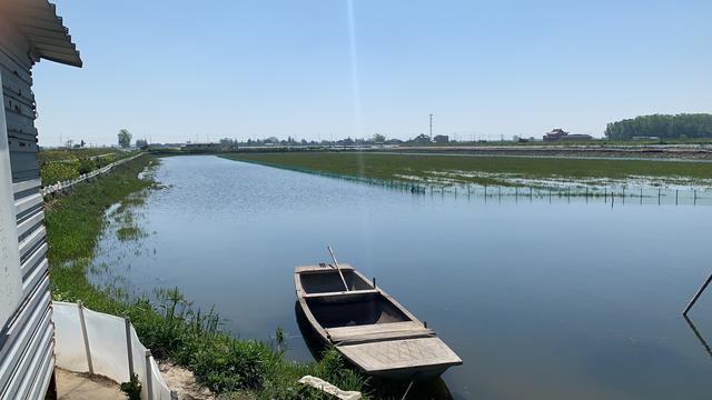 河蟹养殖，“小沙虫”杀不杀，看完您再做决定