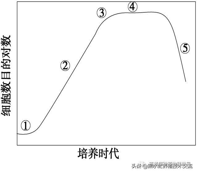 茶话谈：水产养殖中藻类的定向培养方法