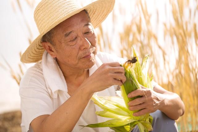 【满满干货】闻所未闻！老乡亲自揭秘：田螺宝宝养殖，挣钱不是梦