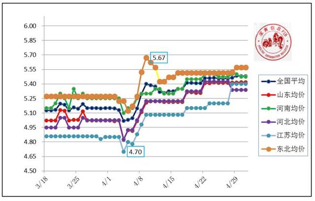 2019年5月6日鸡苗、毛鸡、麻鸡行情早报与趋势分析