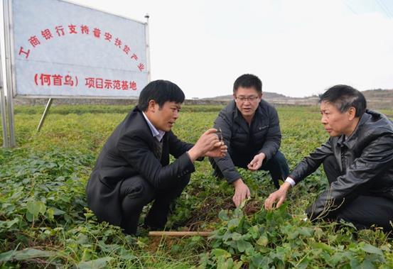 一位扶贫干部的一天：为百姓办实事