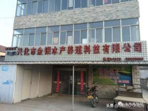 河蟹健康养殖技术(20多年河蟹养殖老手活学活用，用出“1+1＞2”的效果他们的精品蟹之路，走得更稳了