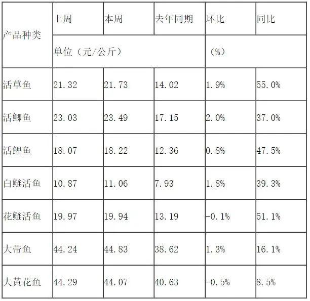 鱼价又涨啦！够朋友就请我吃鱼吧……