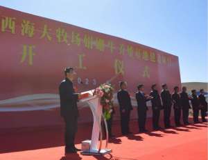 大型肉牛养殖基地(海北州海晏县西海大牧场娟珊牛养殖基地建设项目开工)