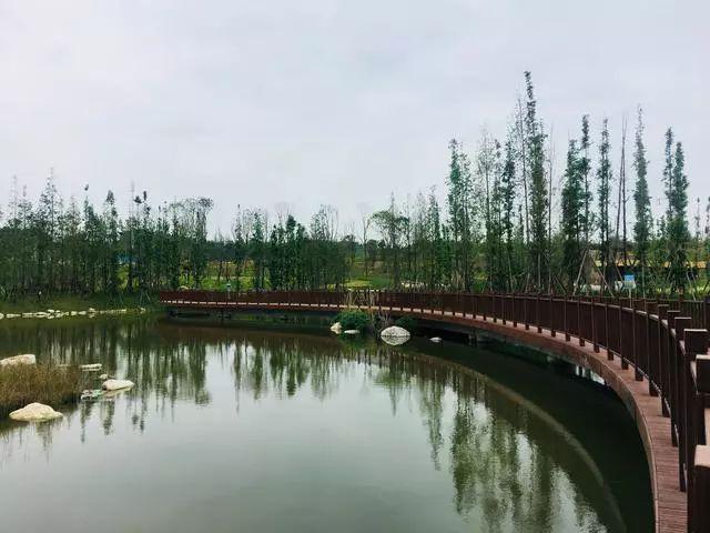 漫步水中栈道，城南再添一处湿地公园！