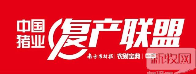 庞宏志：陆川养殖户复养情绪很高｜复产联盟系列报道