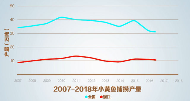 激动！禁渔期东海小黄鱼鲜活开卖，浙江率先突破小黄鱼全人工养殖技术