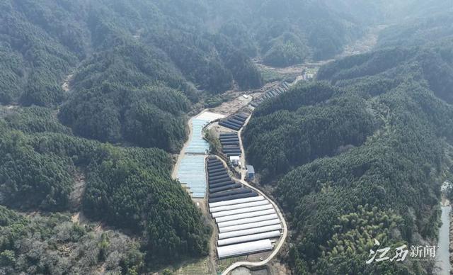 山里“跳”出致富路