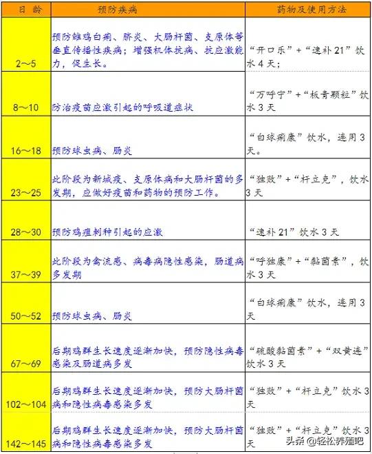 养5千只土鸡需要多少钱?一年能有多大的利润?看看内行人有数了