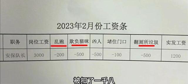 只有土狗才能挣到的钱！10岁土松犬月薪3000，原来是个保安队长！