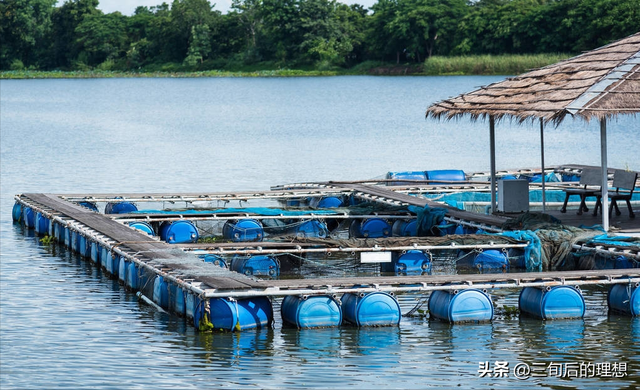 水泥池泥鳅养殖之道，做好水质管理，助力丰收和品质提升！