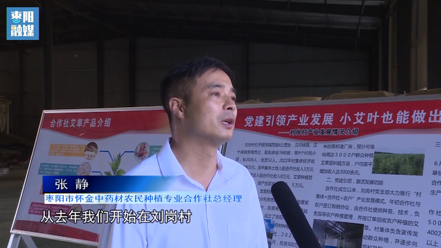 枣阳市琚湾镇刘岗村：小艾叶也能做出大文章