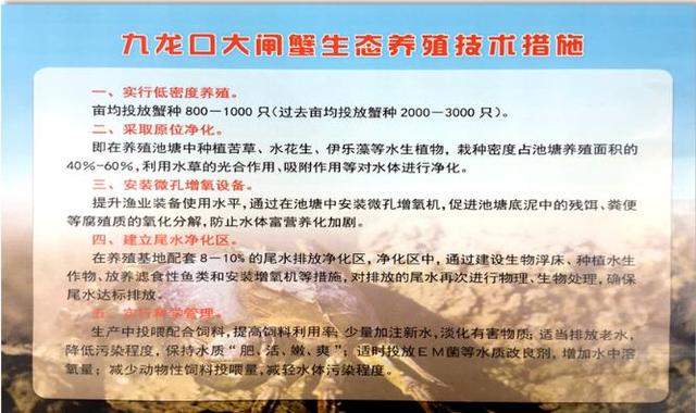 出口认证！年销售超8000万！这家养殖企业模式受到大北农青睐！