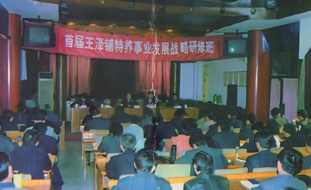 特养教父纵横特养40年，小苍蝇年赚千万，王泽铺十大特养兵法赏析