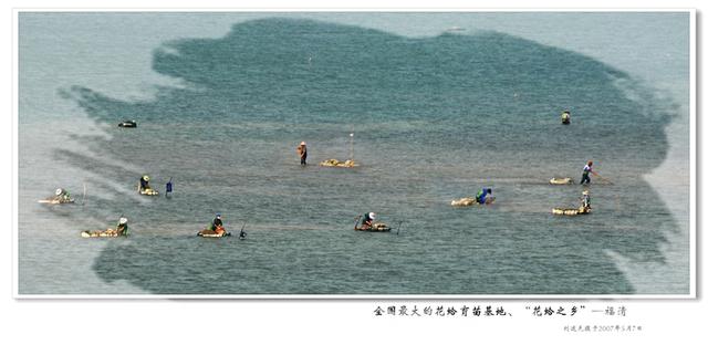 奇特的闽都海文化景观—“花蛤之乡” 饱览“花仙子”舞姿