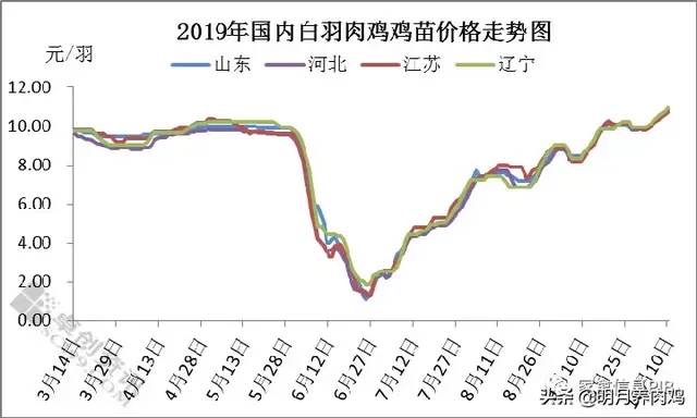 第三季度大肉食肉鸡养殖盈利分析及后市预测