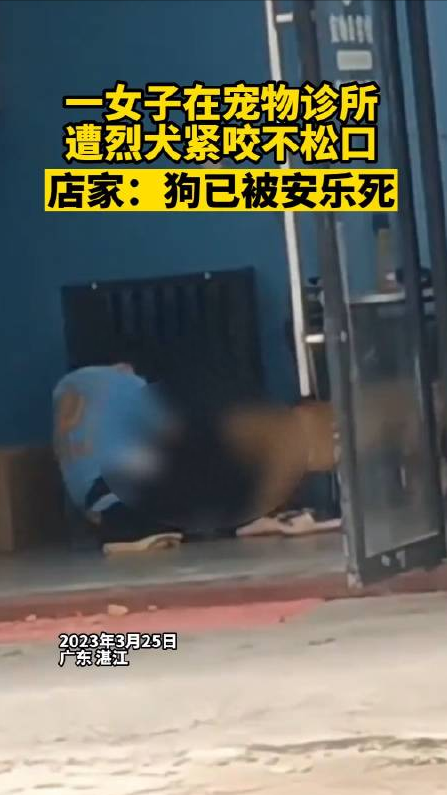 回顾 贵州老人山上晨练，被杜高犬一路跟随，最终被2只杜高犬撕碎