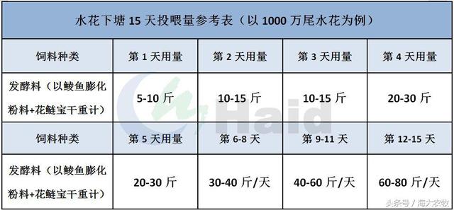 开花方案再升级！鲮鱼鱼花长速飞快，9天鳞片长成