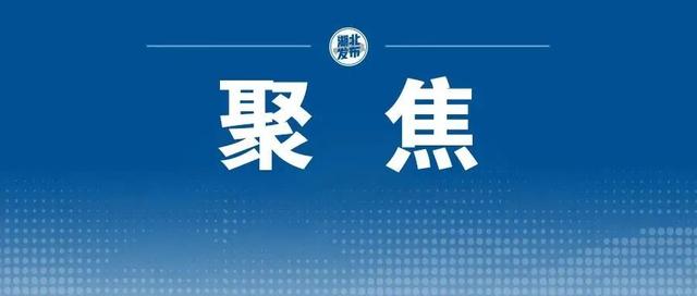 武汉新发现739个物种！