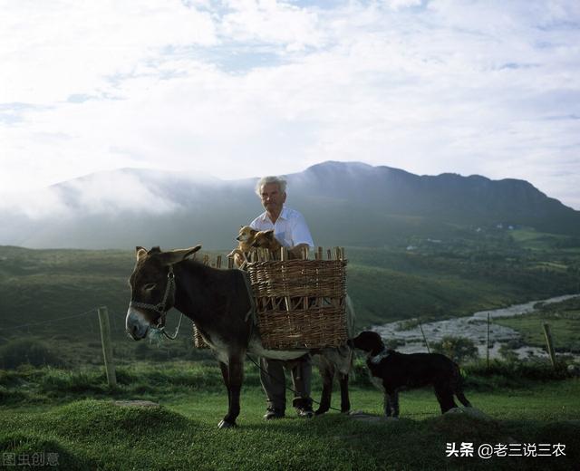 辽宁一村支书，养肉驴30年，一年卖出18万，带领150户农民致富