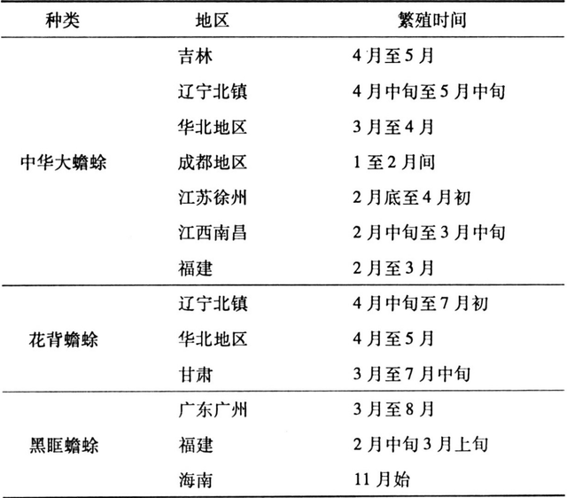 蟾蜍养殖的技术和药用价值，适合农村养殖业发展的新方向