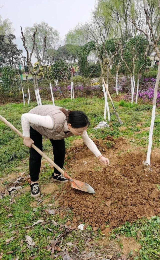 收藏！植树专家教你种春天