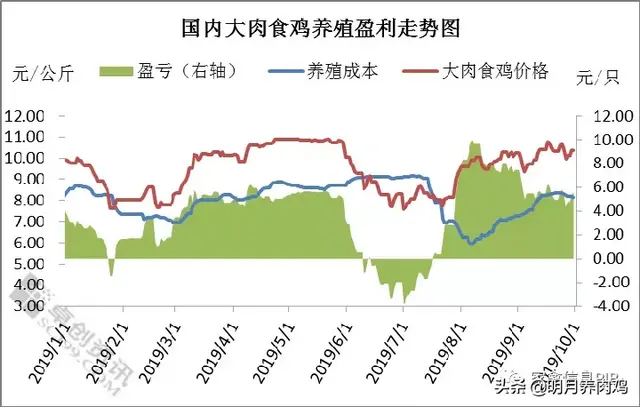 第三季度大肉食肉鸡养殖盈利分析及后市预测