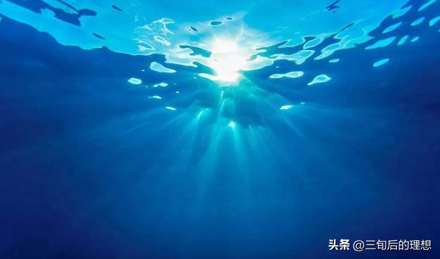 淡水养殖中，流水养殖系统和静水养殖的设计与优化有什么区别？