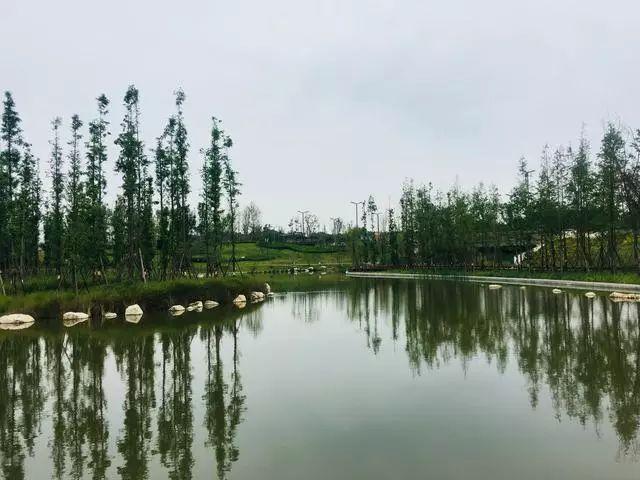 漫步水中栈道，城南再添一处湿地公园！