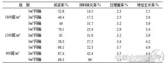 泥鳅小体积网箱养殖技术探索