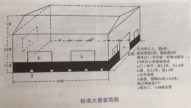 种桑养蚕——⑤大蚕省力化饲养方法