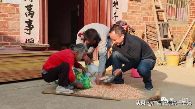 荷美覃塘：千年莲藕池中，“淡水虾王”将试水