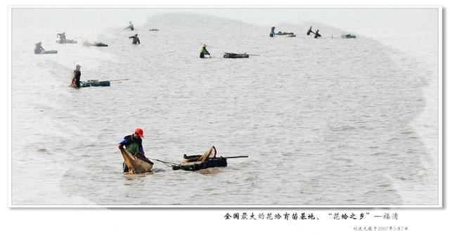 奇特的闽都海文化景观—“花蛤之乡” 饱览“花仙子”舞姿