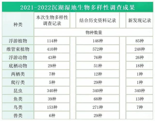 武汉新发现739个物种！