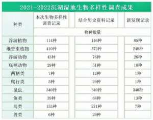 湖北林蛙养殖(武汉新发现739个物种)