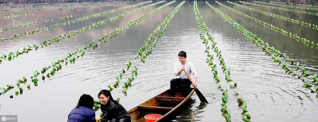 想要养殖青蛙，虽然说能挣钱，可这行业并不简单，需要符合这5点