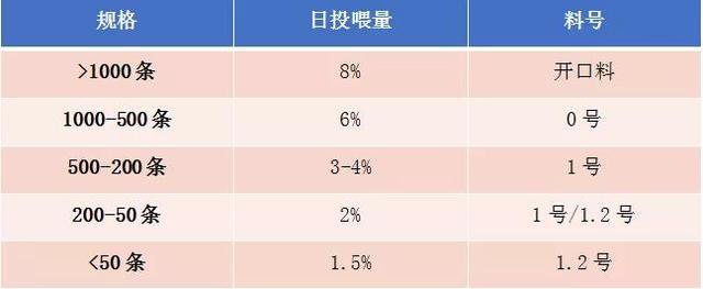 泥鳅高密度养殖模式注意这些关键点，亩利润超19000元