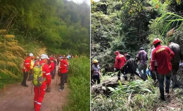 男子为泡酒上山抓毒蜂身亡，找到时毒蜂继续蛰，地雷蜂有多可怕？