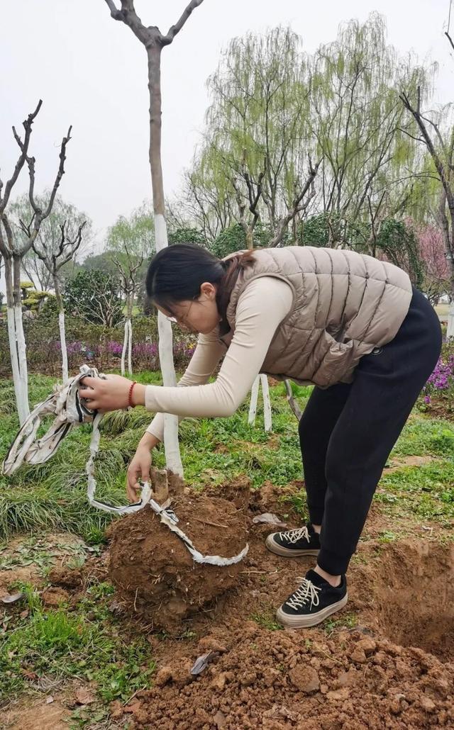 收藏！植树专家教你种春天