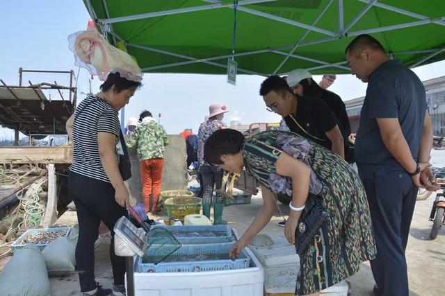 海洋捕捞逐年减少 渔业养殖风生水起