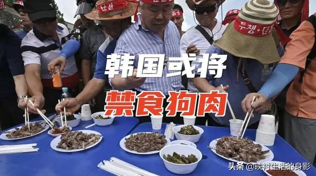 韩国人曾有多痴迷狗肉？医生都会劝伤者食用，菜名和我国近乎相同