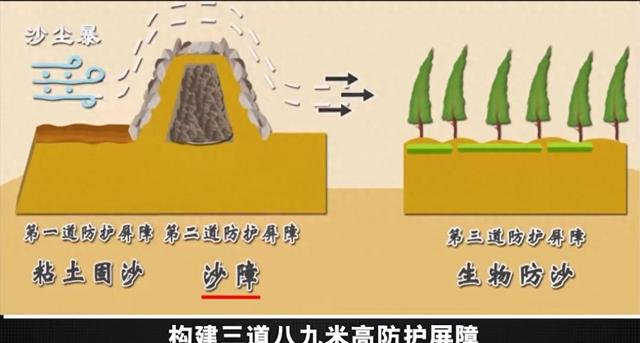 沙漠养鱼10亿，员工离职鱼塘毁，小伙说值