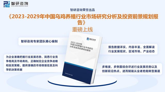 智研咨询重磅发布！2023年乌鸡养殖行业市场分析报告