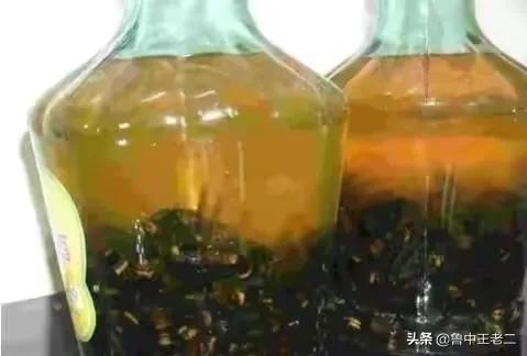 肆虐欧洲的中国大虎头蜂，在国内却被吃肉泡酒！虎头蜂：我太难了