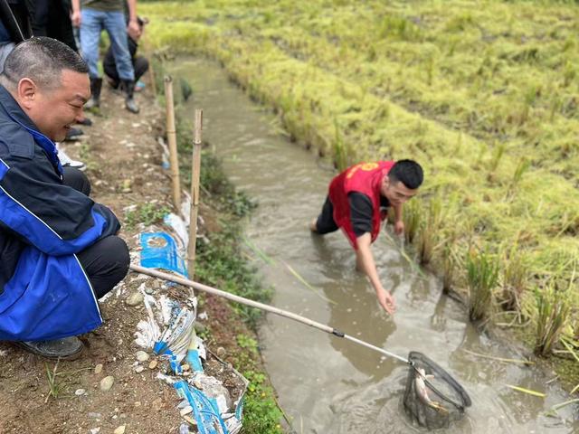 汉滨区紫荆镇举行2023年油稻蜜渔综合种养示范基地秋收秋种现场会活动