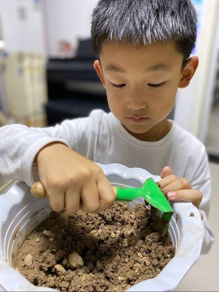 红领巾劳动吧·劳动伴成长｜圆梦！我亲手种出了“宝葫芦”